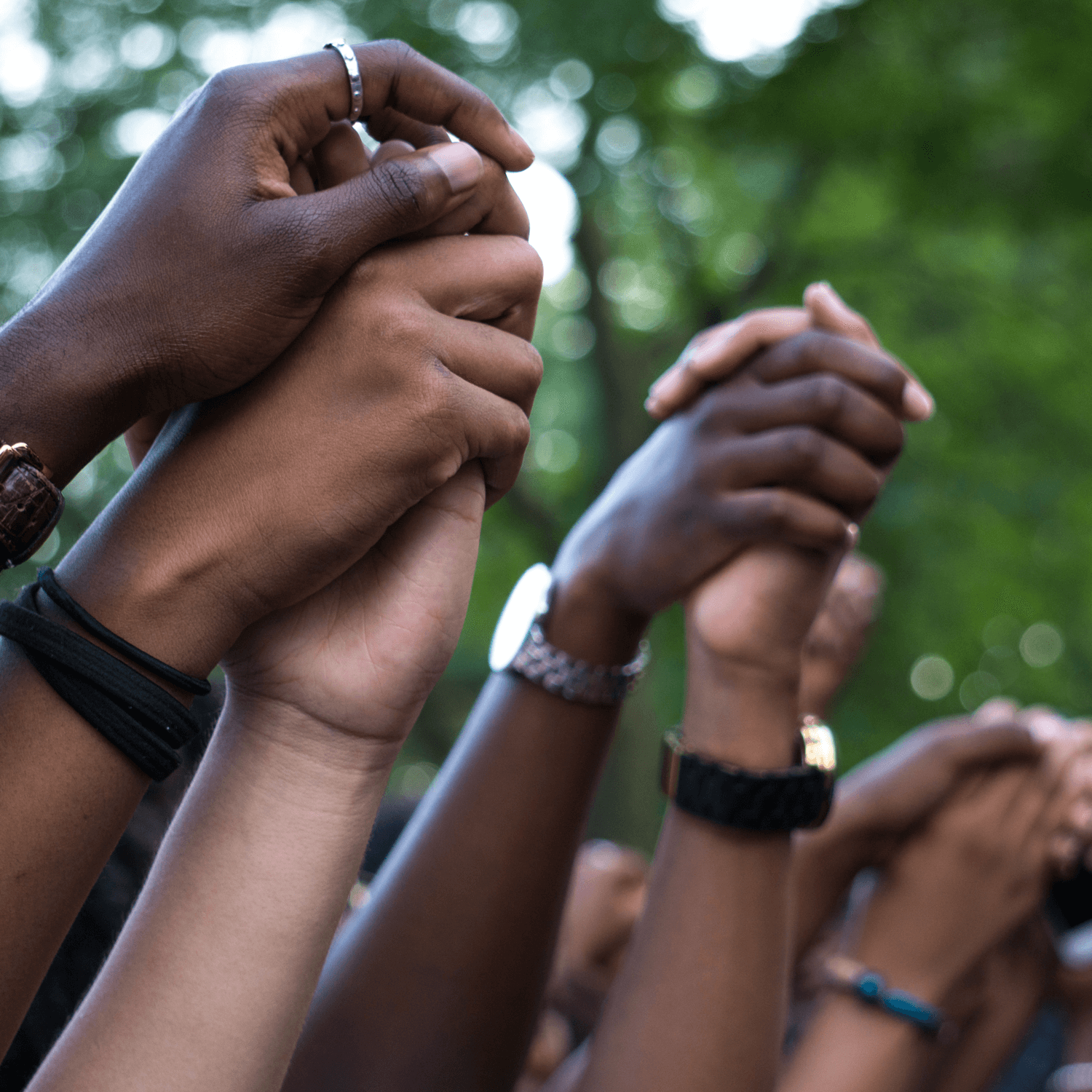 multiracial hands clasped together overhead in protest